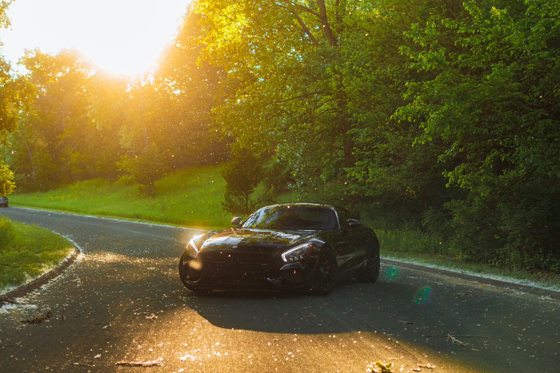 Black Mercedes-AMG GT on Road by Trees